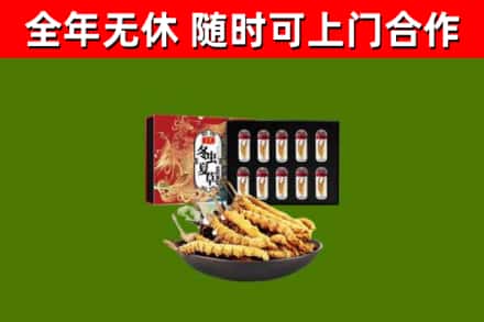 剑川县回收冬虫夏草价格